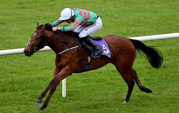 Princess Rajj comes home a clear cut winner under Tom Madden