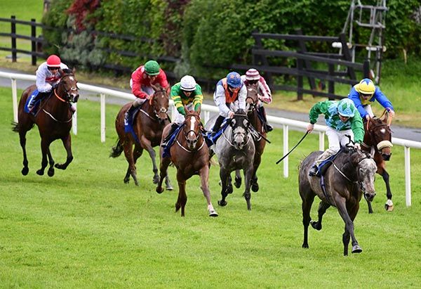 Clear Quartz is ridden out by Gavin Ryan