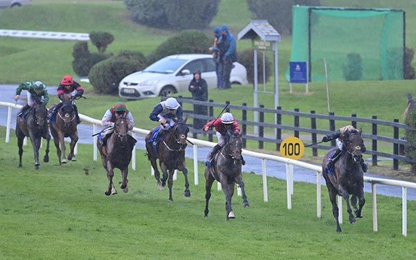 Monty's Way leads home his rivals under Mikey Sheehy