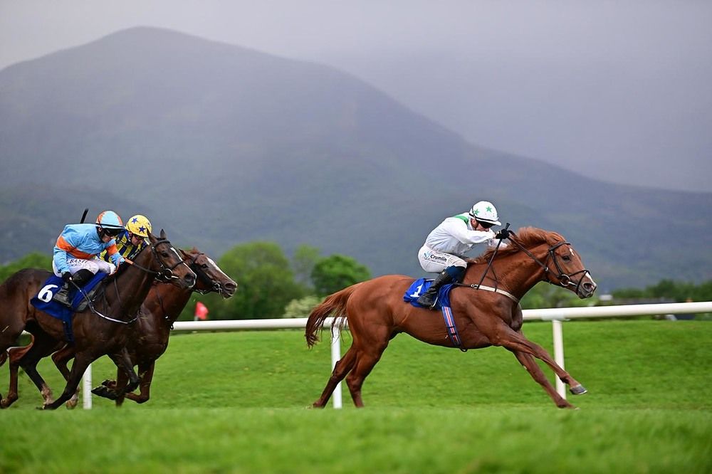 The Paddy Twomey trained Beamish winning on soft ground at Killarney