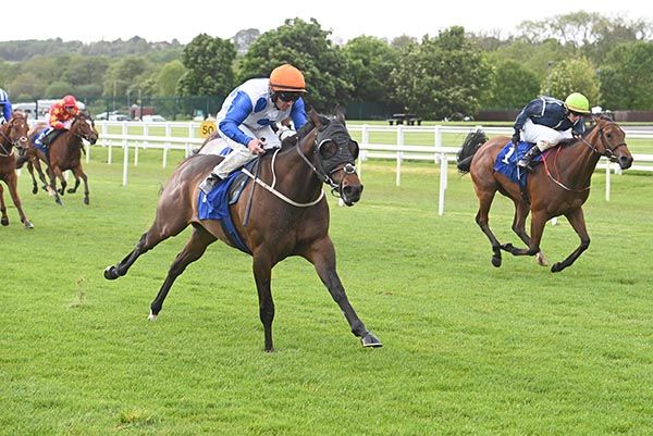 Neo Soul and Gary Carroll 