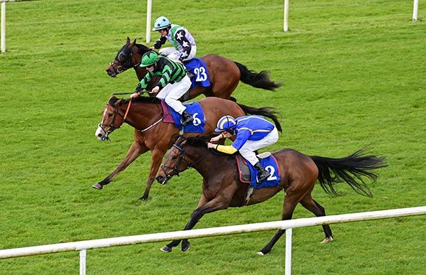 Shawaamekh and Donagh O'Connor (nearest) beat Numoor and Pallasmore Lass
