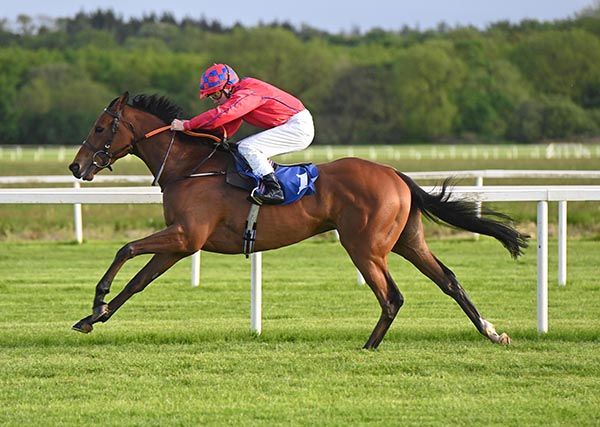 Urban Oasis and Jamie Powell 