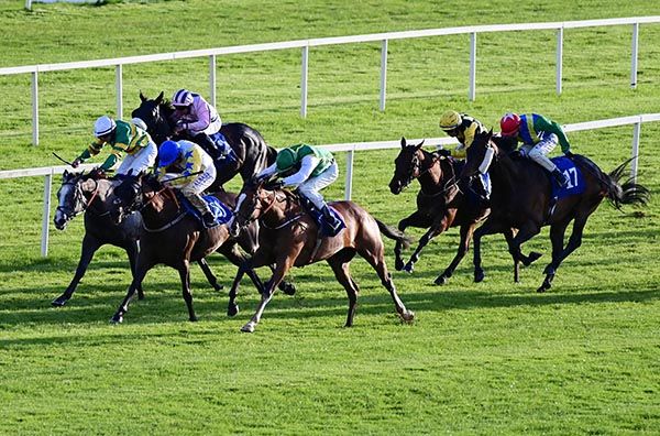 Fennor Cross and Donagh O Connor (nearest) beat Miss Cunning (centre) and Edge Of My Seat (far side)