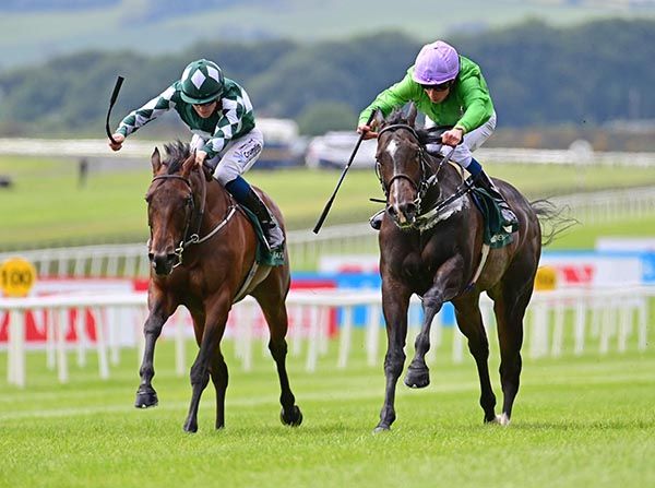 Brad The Brief (right) with Mooneista