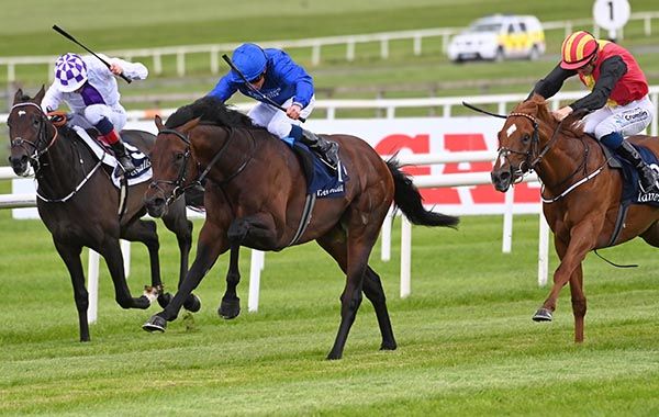 Native Trail (centre) with New Energy