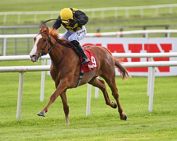 Raise You and Shane Crosse