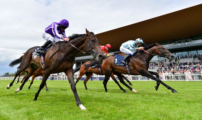 High Definition (nearest) represents Aidan O'Brien in the Grand Prix de Saint-Cloud
