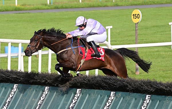 Shean Glory and Phillip Enright