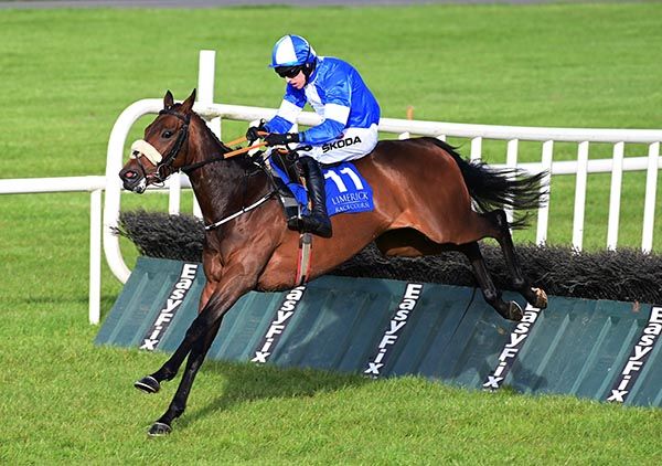 Rocco Bay clear of her rivals at the final hurdle