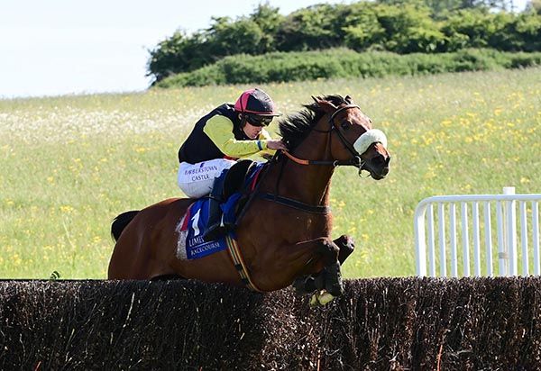 Brog Ahaon and Simon Torrens pictured on their way to victory