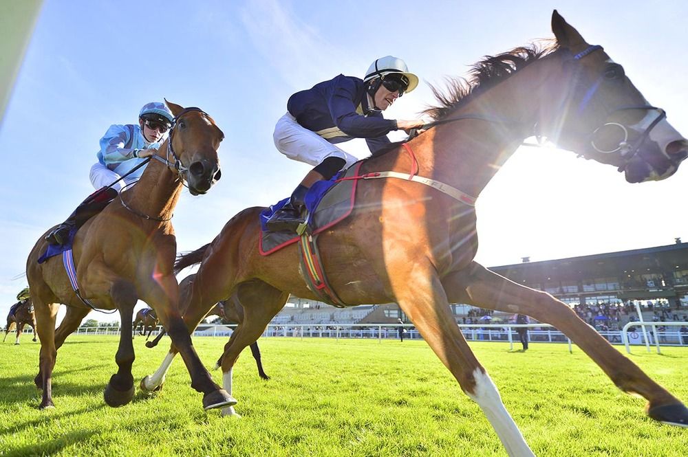 Prisoner's Dilemma and Donagh O Connor beat San Andreas