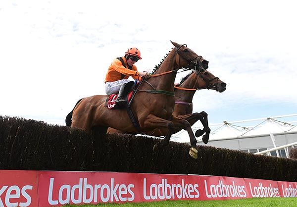 Alpha Male (nearest) jumps the last alongside I'll Be That Lady