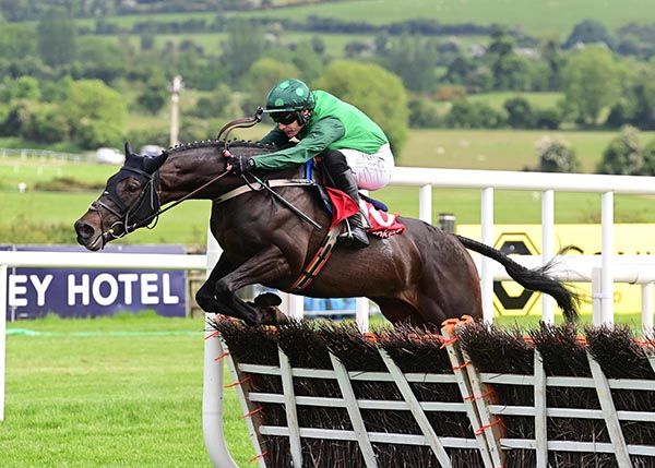 Tax For Max winning at Punchestown