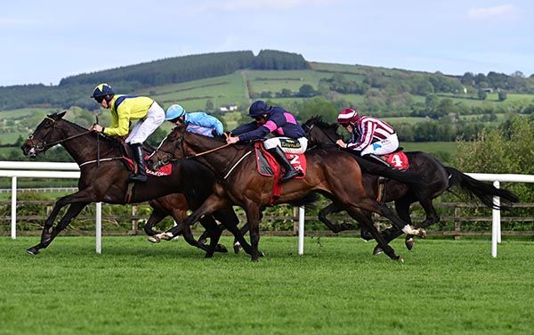 Michael winning on Marine Nationale at Punchestown in May