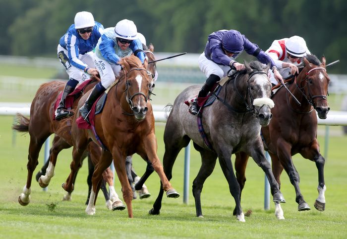 Jimi Hendrix (chestnut horse) winning at Haydock last year
