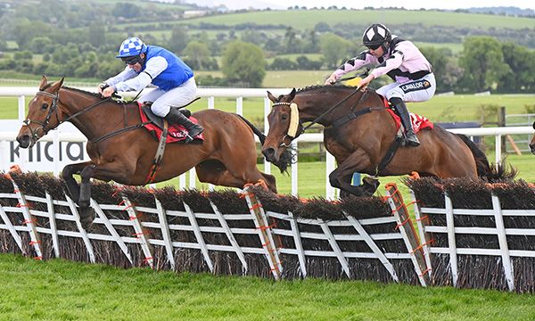 Direct Image just leads Loudest Whisper over the last