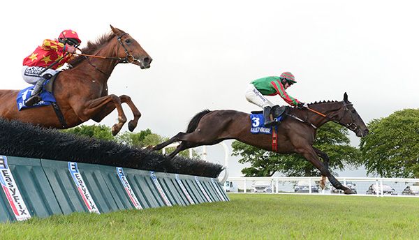 Story Rory clears the last from Lady L'lerom in second