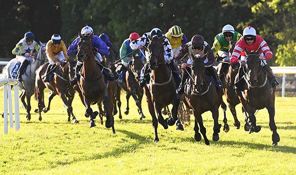 Aime Desjy & Patrick Mullins (far right) lead their rivals into the straight