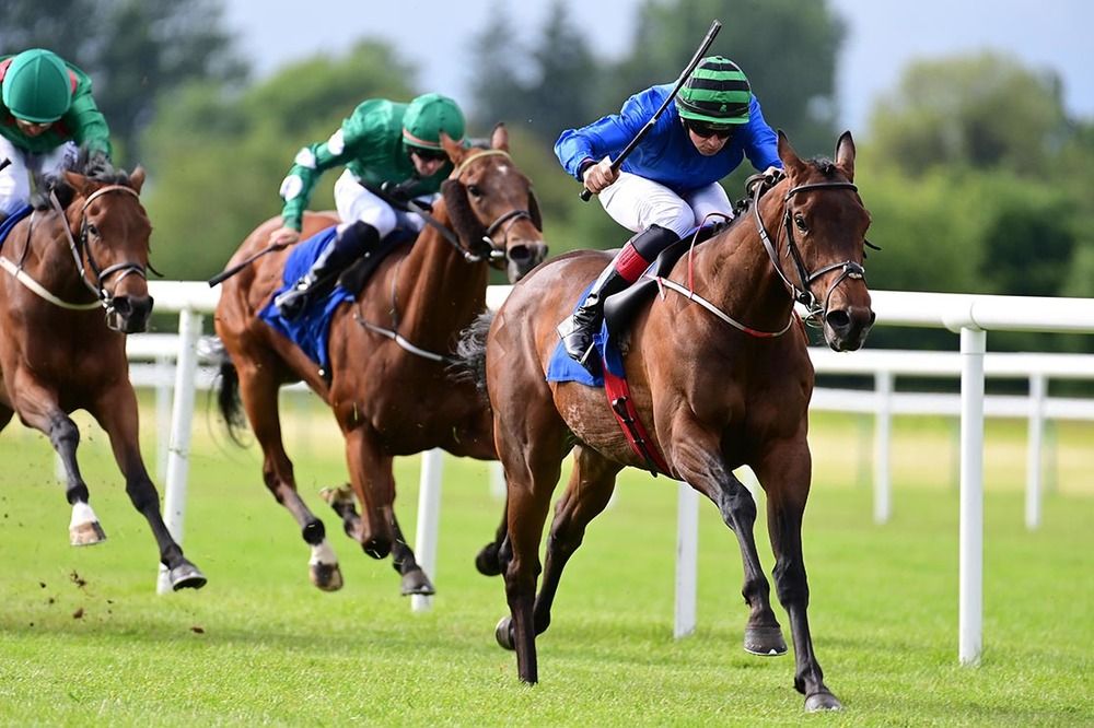 All In The Mind is ridden out by Conor Hoban