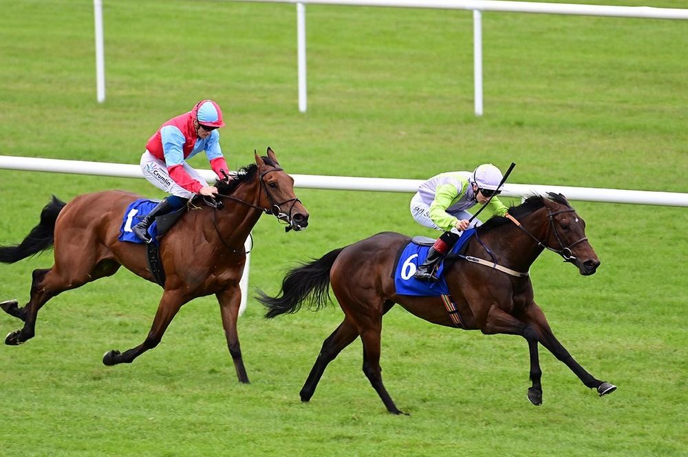 Chocquinto leads home Moss Tucker