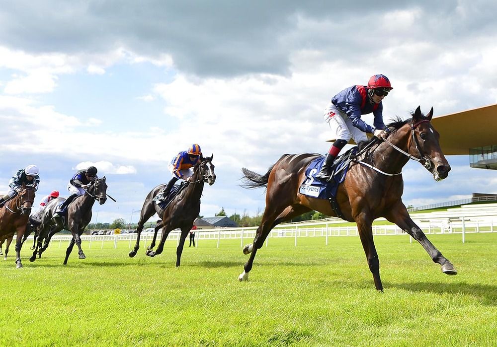 Crypto Force pictured winning on debut