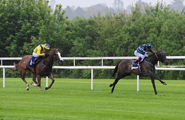 I Have A Voice and Kevin Manning are clear from Highland King and Ben Coen