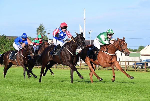 Champella (green and white)