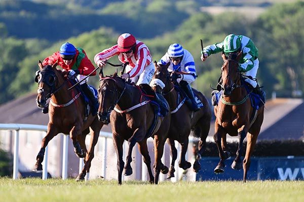 Frazel Express (stripes)