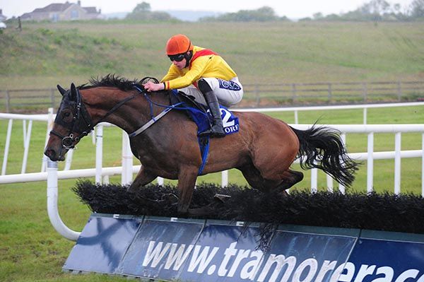 Churchtown Ruby gets over the last under Jack Foley