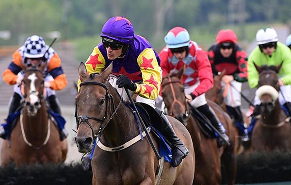 Kingston Retreat and Danny Mullins