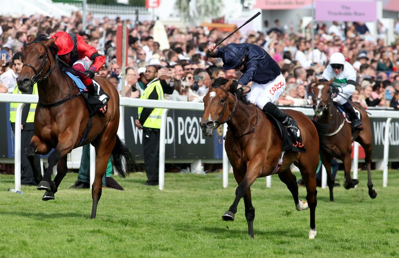 Tuesday set to take her chance in Yorkshire Oaks 