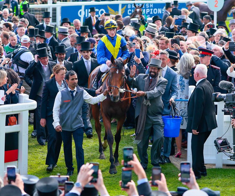 Desert Crown has been pleasing connections ahead of his reappearance at Sandown. 