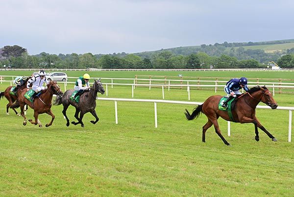 Coumshingaun put experience to good use. 