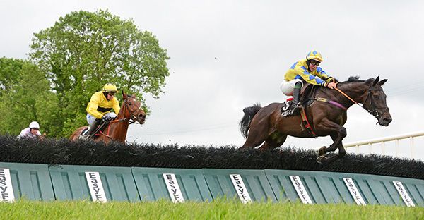 Killinure Lass and JJ Slevin lead over the last