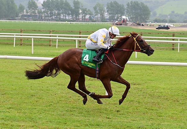 Elmos Fire and Billy Lee