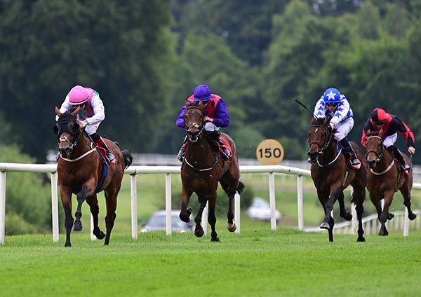 Culcor wins Gowran Park opener 