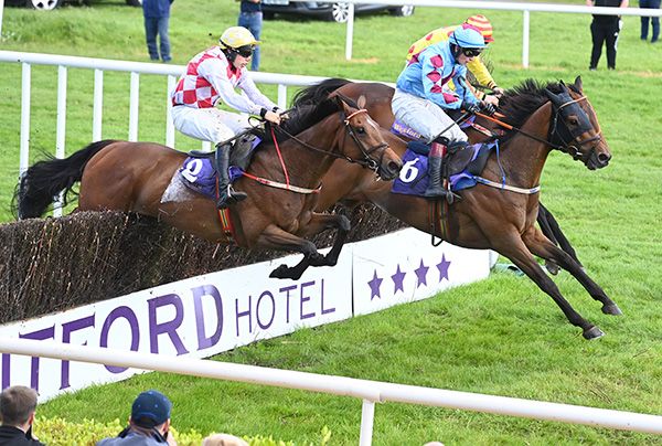 Where's Bunny, near side, finishes best of all of this trio