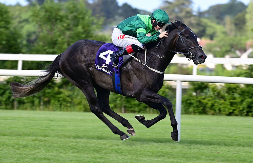 Dr Zempf maintained unbeaten Leopardstown record. 