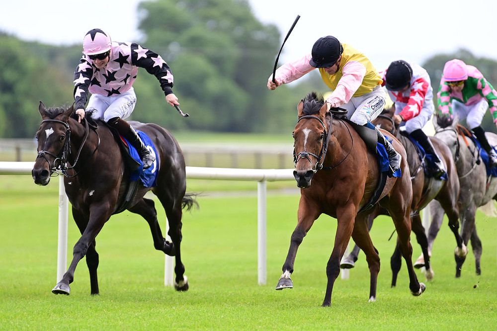 Areille (right) beats stablemate Jupiter Express 