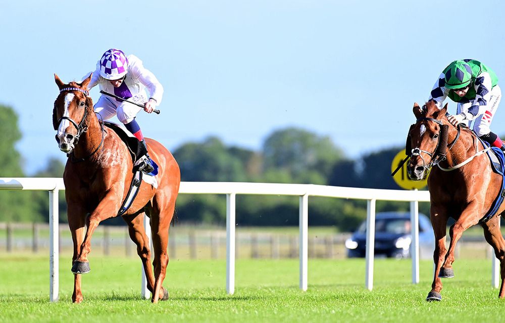 Daylight Come (Kevin Manning) beating San Martino