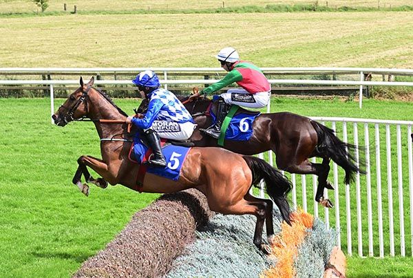 Quantum Realm won under Shane Fitzgerald 