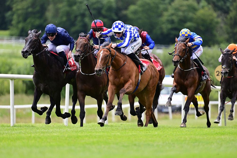 Zoinnocent won under jockey Shane Crosse 