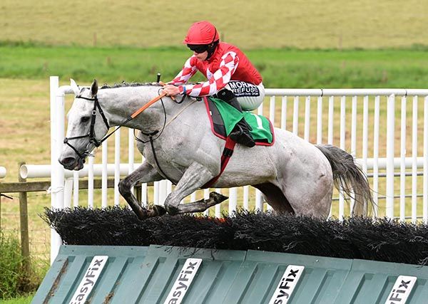 Roaring Potter ran out an easy winner at Downpatrick 