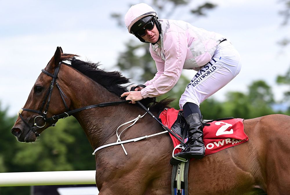 Gary Carroll on Silken Ladder