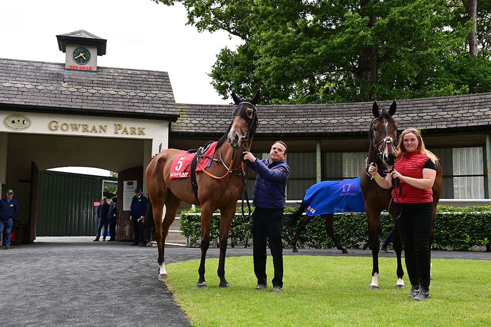 Both Sierra Nevada's ahead of their race - Charles O Brien trained(left) of Jessica Harrington trained winner. 