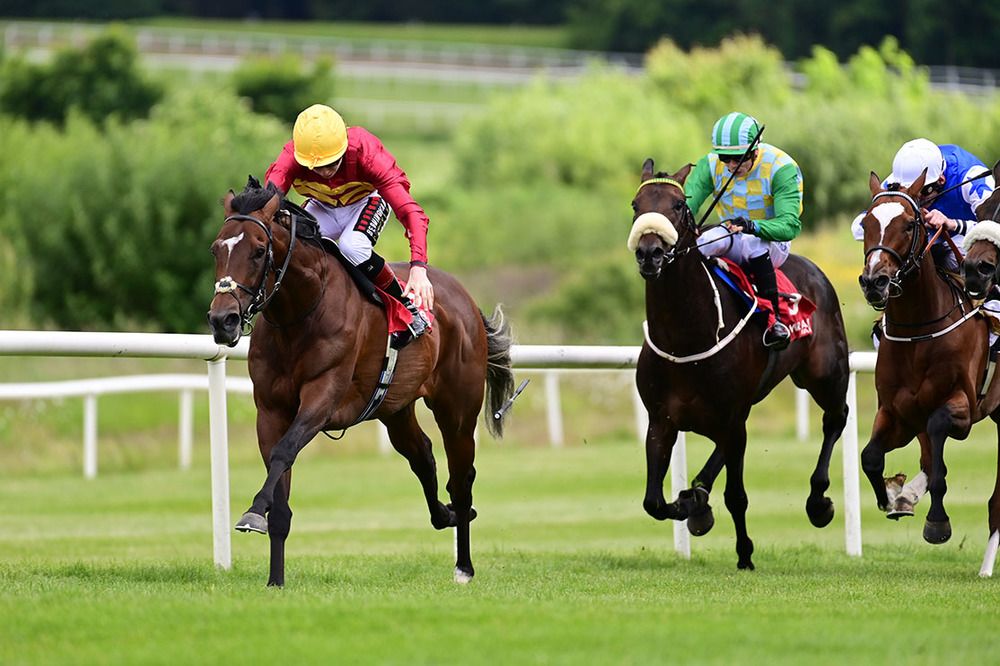 Gear Up and Jake Coen win the last at Gowran Park  