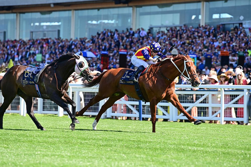 Nature Strip has only the loose Khaadem for company in the closing stages of the King's Stand Stakes