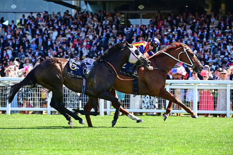 Trained in Australia by Chris Waller, Nature Strip won the King's Stand last year