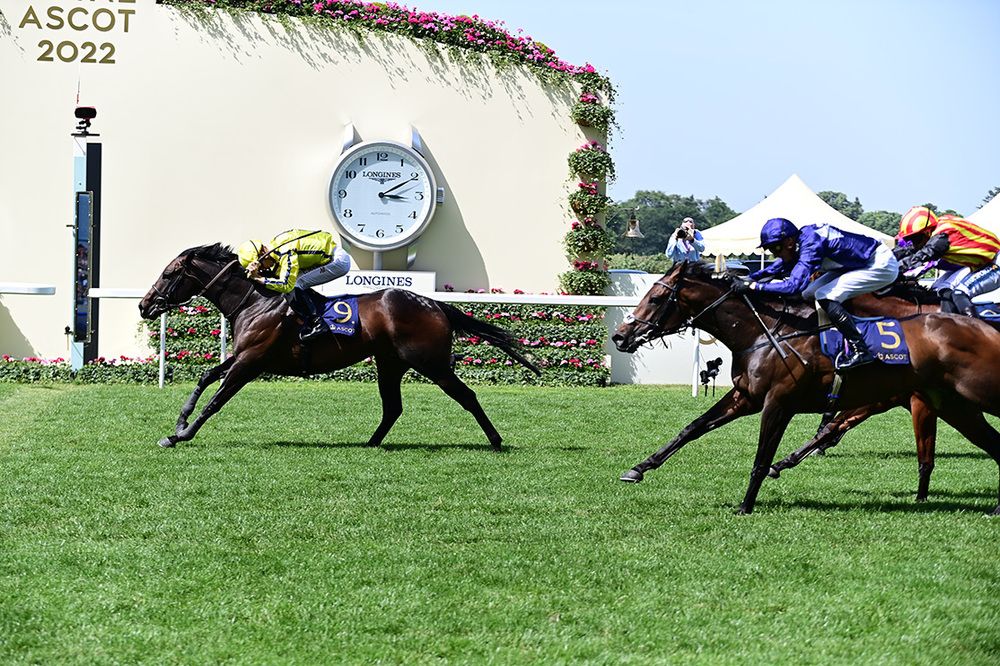Flaming Rib (no.5) chased home Perfect Power in the Commonwealth Cup